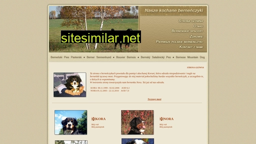 e-bernenczyki.pl alternative sites