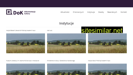e-dok.pl alternative sites