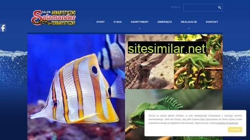 E-salamander similar sites