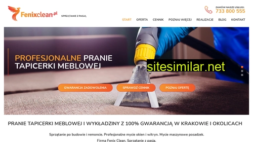 fenixclean.pl alternative sites