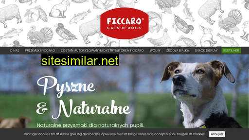 ficcaro.pl alternative sites