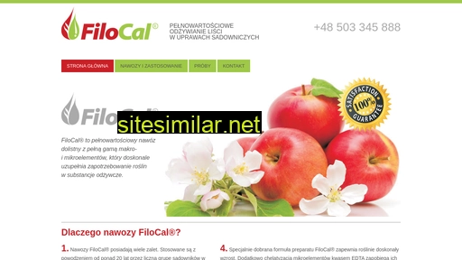 filocal.pl alternative sites