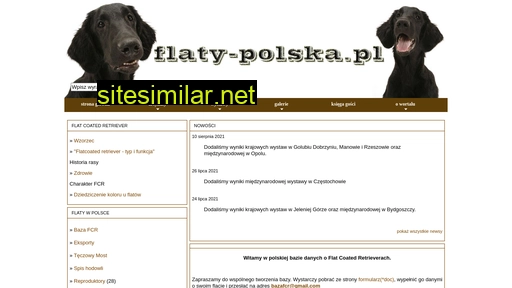 Flaty-polska similar sites