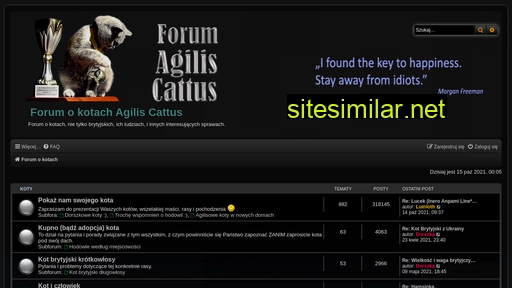 forum-agiliscattus.pl alternative sites