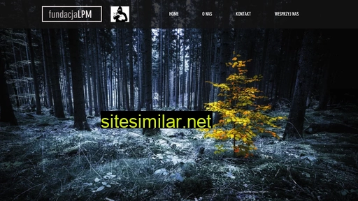 fundacjalpm.pl alternative sites