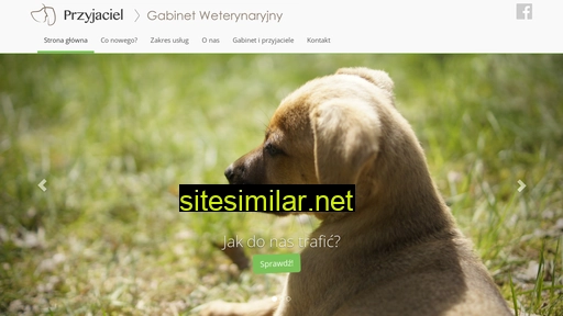 gabinet-przyjaciel.pl alternative sites