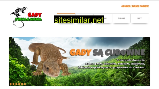 gady-ewkagamma.pl alternative sites