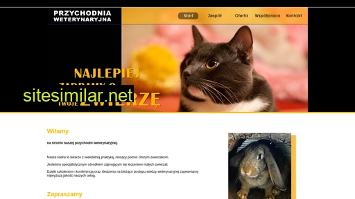 gorzowweterynarz.pl alternative sites