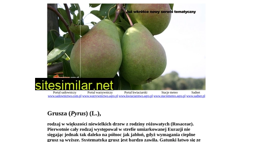 grusza.com.pl alternative sites