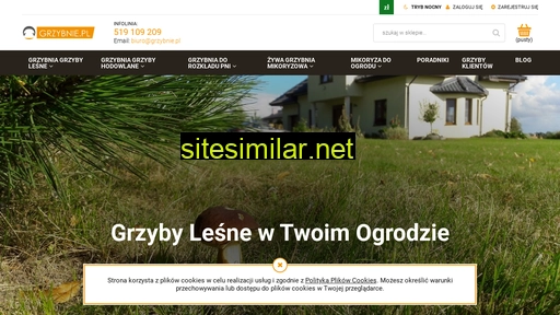 grzybnie.pl alternative sites