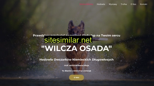hodowlawilczaosada.pl alternative sites