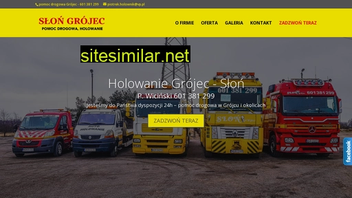 holownik-grojec.pl alternative sites