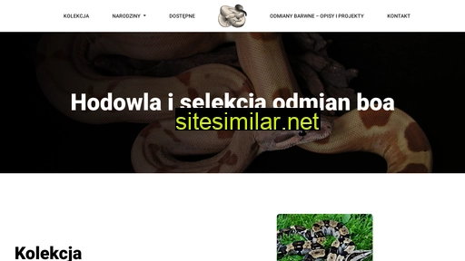 igboas.pl alternative sites
