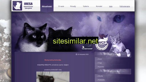 iresa.pl alternative sites