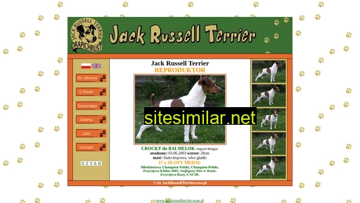 Jackrussellterrier similar sites
