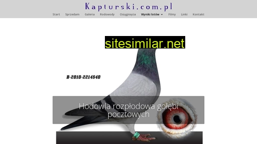 kapturski.com.pl alternative sites