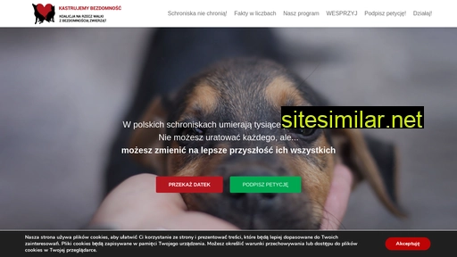 kastrujemybezdomnosc.pl alternative sites