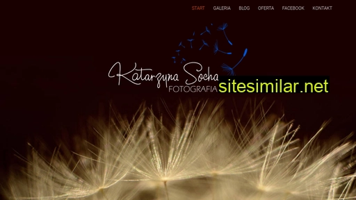 katarzynasocha.pl alternative sites