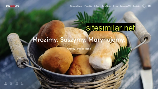 komirex.com.pl alternative sites