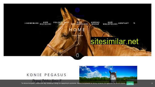 konie-pegasus.pl alternative sites