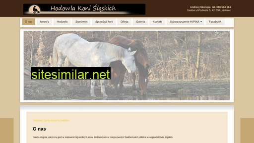 konielubliniec.pl alternative sites