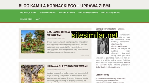 kornacki.com.pl alternative sites