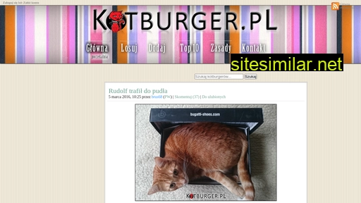kotburger.pl alternative sites
