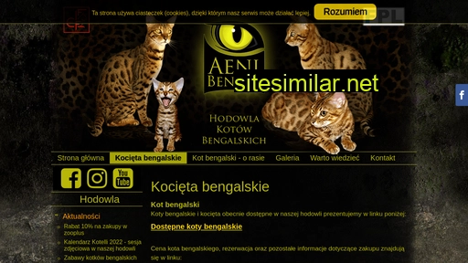 kotybengalskie.com.pl alternative sites