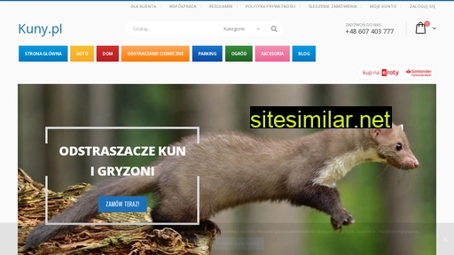 kuny.pl alternative sites