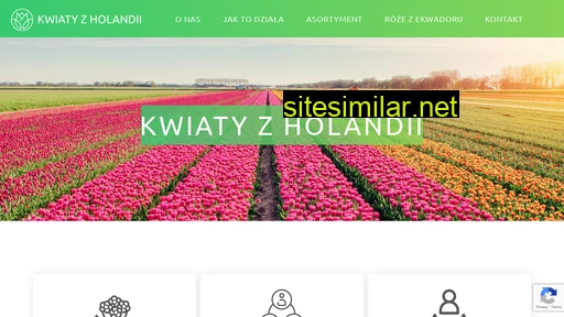 kwiatyzholandii.pl alternative sites