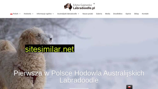 labradoodle.pl alternative sites