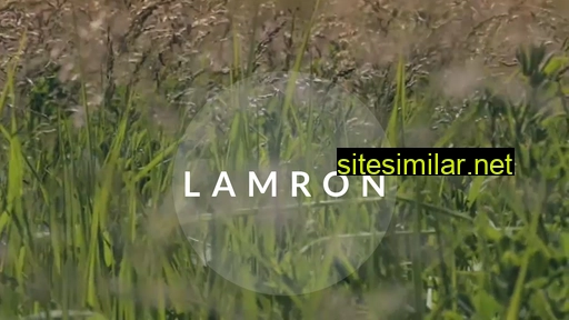 lamron.pl alternative sites