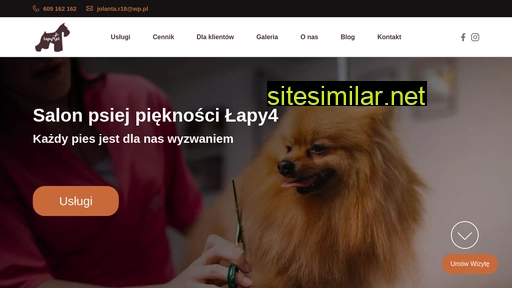 lapy4.pl alternative sites