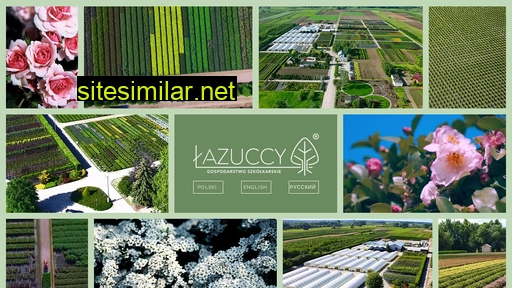 lazuccy.pl alternative sites