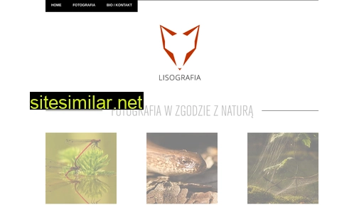 lisografia.pl alternative sites