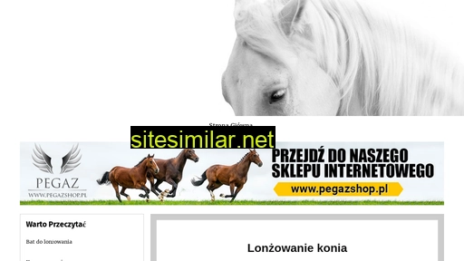 Lonzowanie-konia similar sites