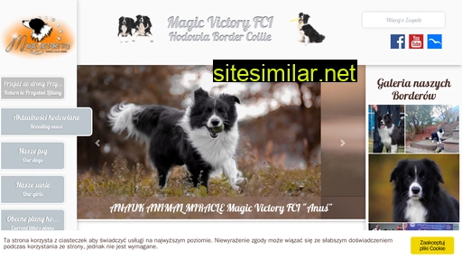 magicvictoryfci.pl alternative sites