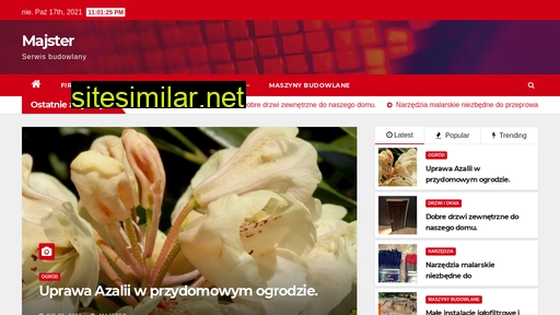 majster.net.pl alternative sites
