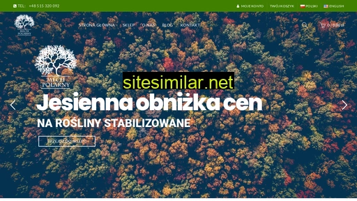 mechpolarny.pl alternative sites