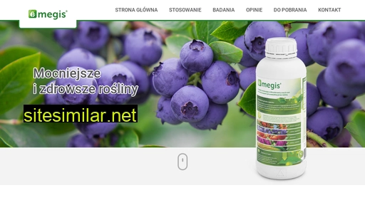 megis-si.pl alternative sites