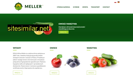 mellergroup.pl alternative sites