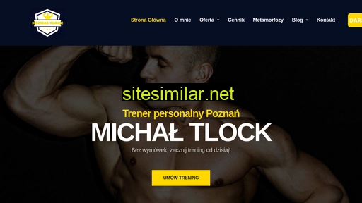 michaltlock.pl alternative sites