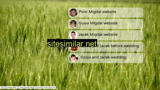 migdal.pl alternative sites