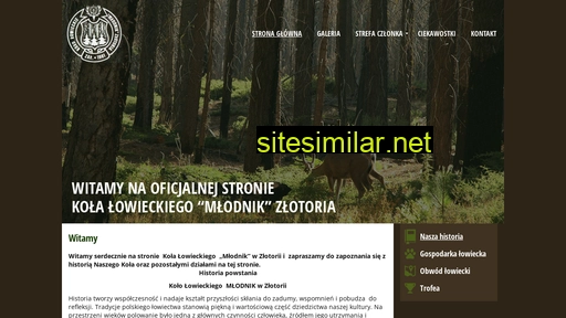 mlodnikzlotoria.pl alternative sites