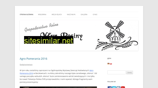 mlyn-rosiny.pl alternative sites