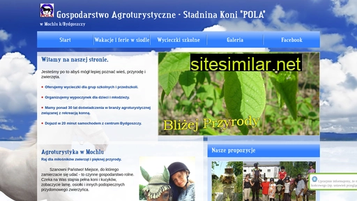 mochle.pl alternative sites