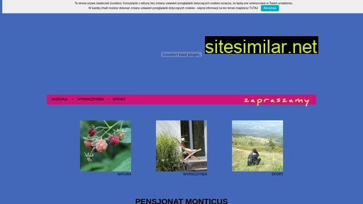 monticus.pl alternative sites