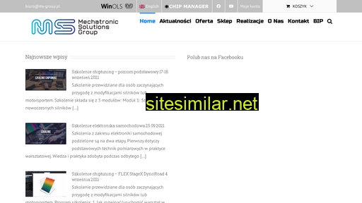 ms-group.pl alternative sites