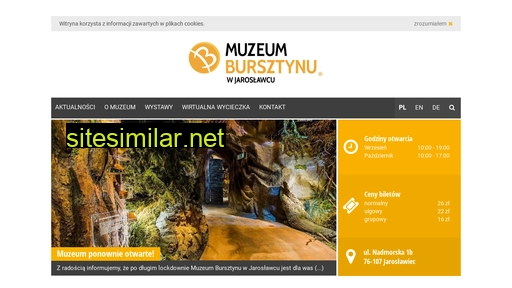 muzeumbursztynu.pl alternative sites