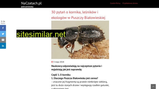 naczatach.pl alternative sites